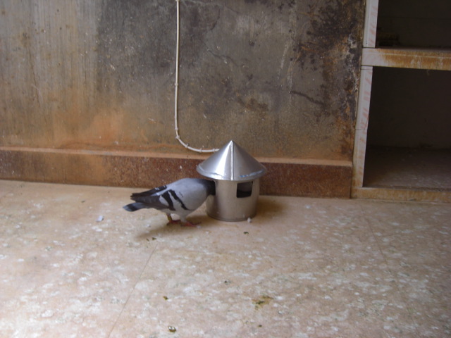 20101026141959.jpg