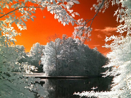 1125899906859944066[1].jpg