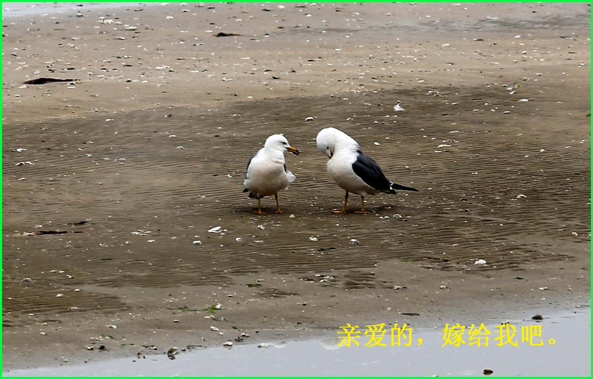 IMG_3212.JPG