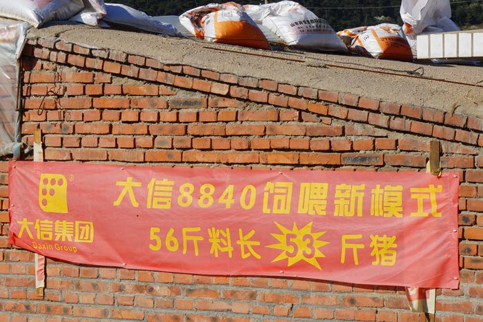 DSC03341_副本_副本_副本.jpg