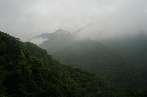 DSC02504.JPG