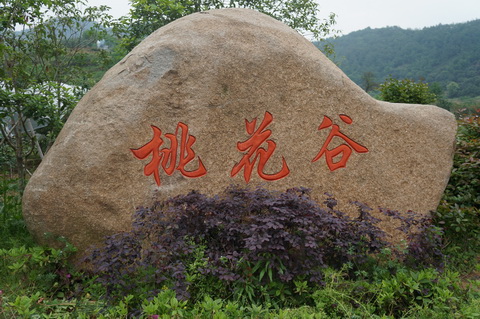 DSC02789.JPG