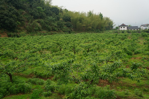 DSC02793.JPG