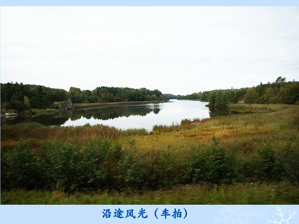 õƬ20.JPG