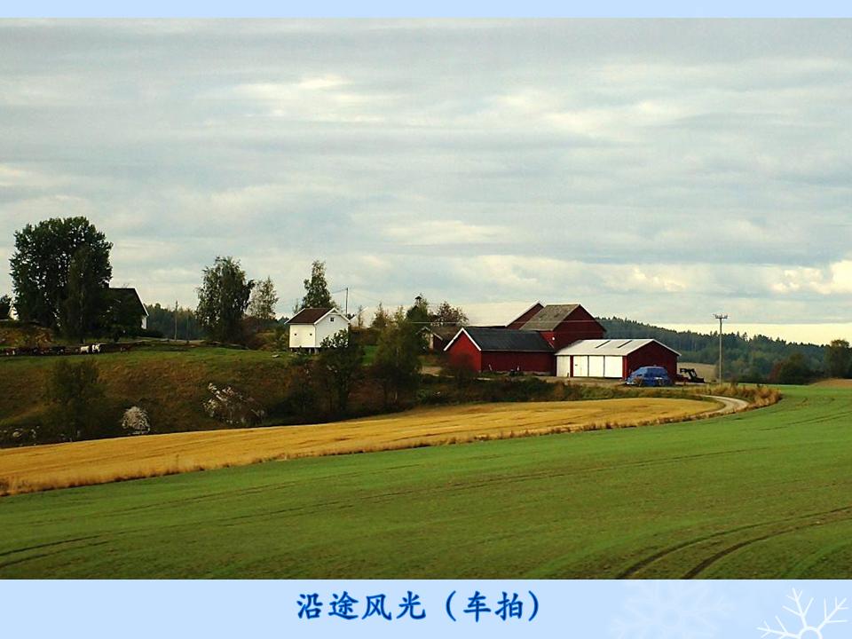 õƬ11.JPG