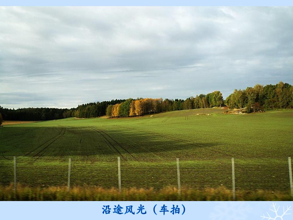 õƬ13.JPG