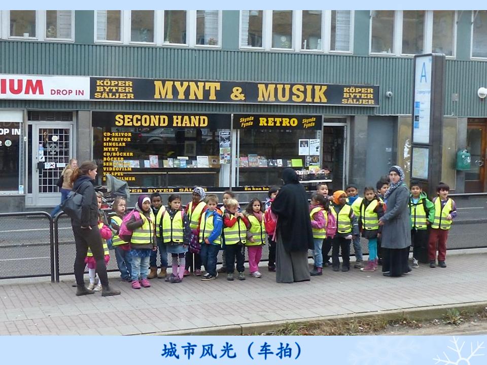 õƬ33.JPG