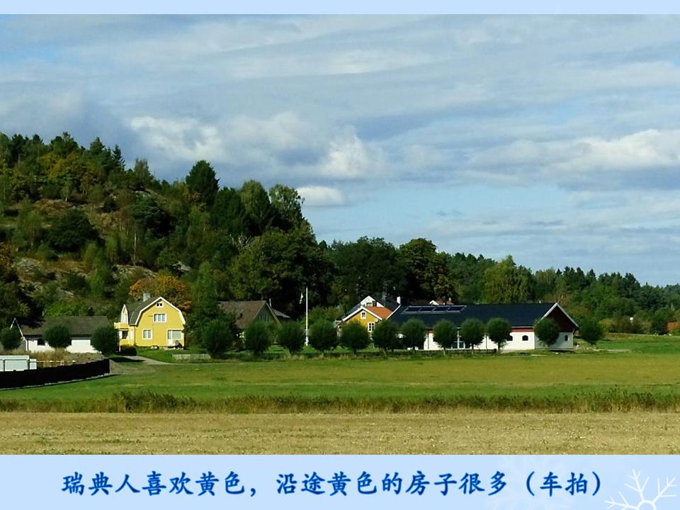 õƬ51.JPG