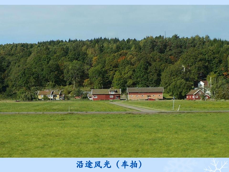 õƬ26.JPG