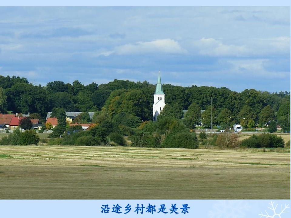 õƬ54.JPG