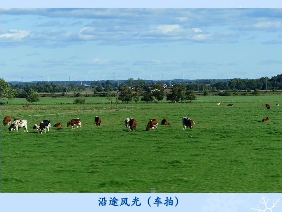 õƬ57.JPG