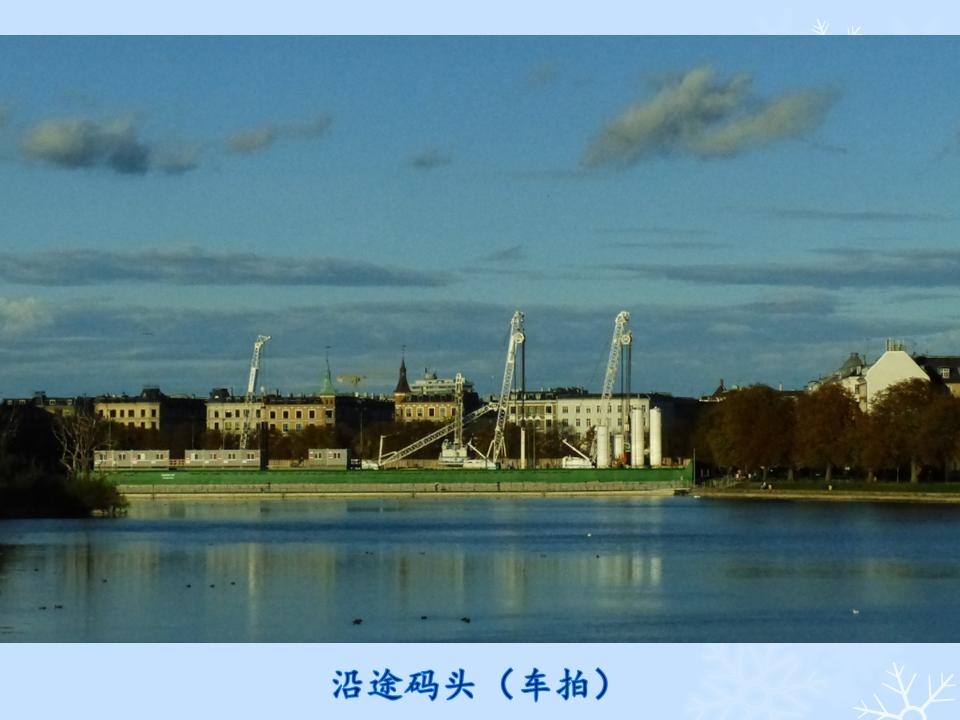 õƬ101.JPG