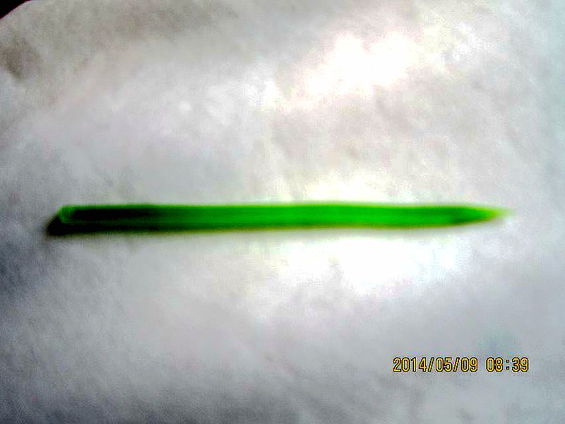 psbMD9K2Q31.jpg
