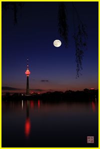 IMG_6799.jpg .jpg