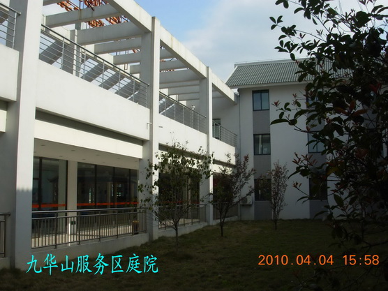 DSCN5611-.jpg