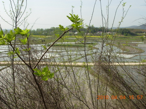 DSCN5610.JPG