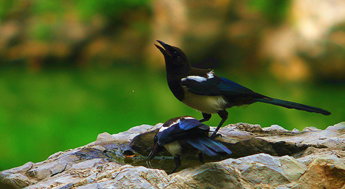 IMG_2986_副本_副本.jpg