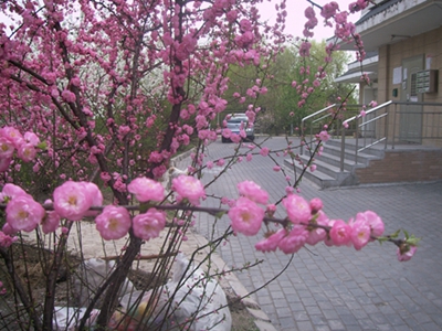 DCAM0880.JPG