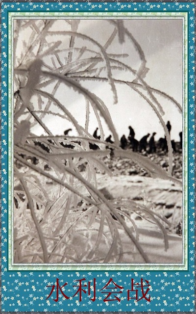 084811ciorwxpieibxlj9i.jpg