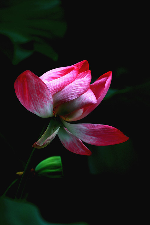 IMG_1986__副本.jpg