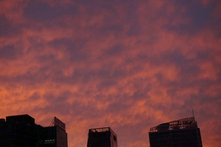 DSC04270.JPG