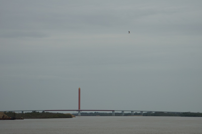 DSC01239.JPG