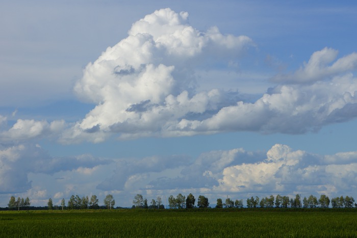 DSC08118.JPG