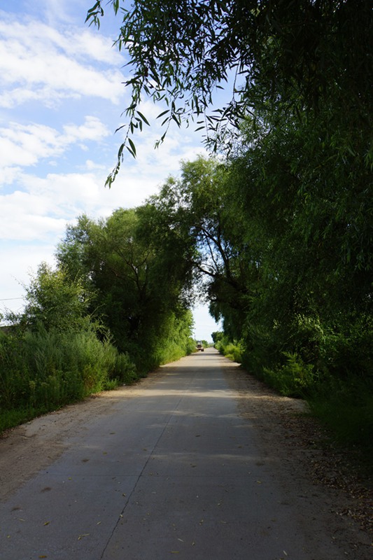 DSC08147.jpg