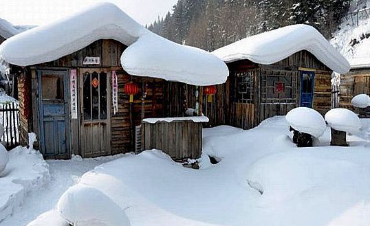 132717wav6buinonuljt5j.jpg