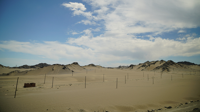 DSC08974.jpg