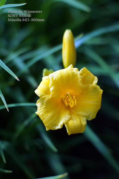 DSC06221.JPG