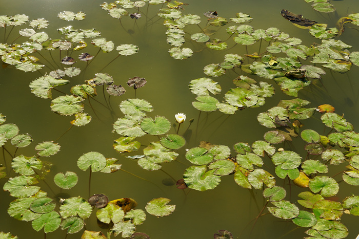 DSC09052.jpg
