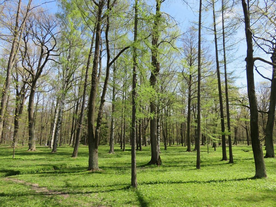 õƬ59.JPG