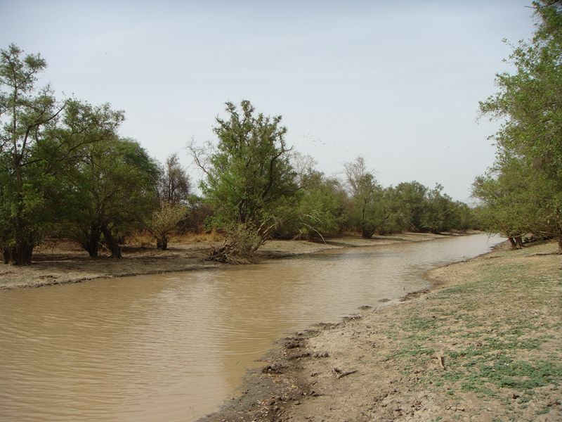DSC02394_.jpg