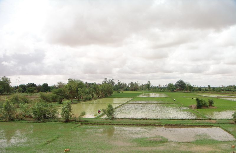DSC02613_.jpg