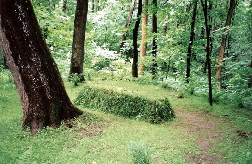 Tolstoys_grave_large.jpg
