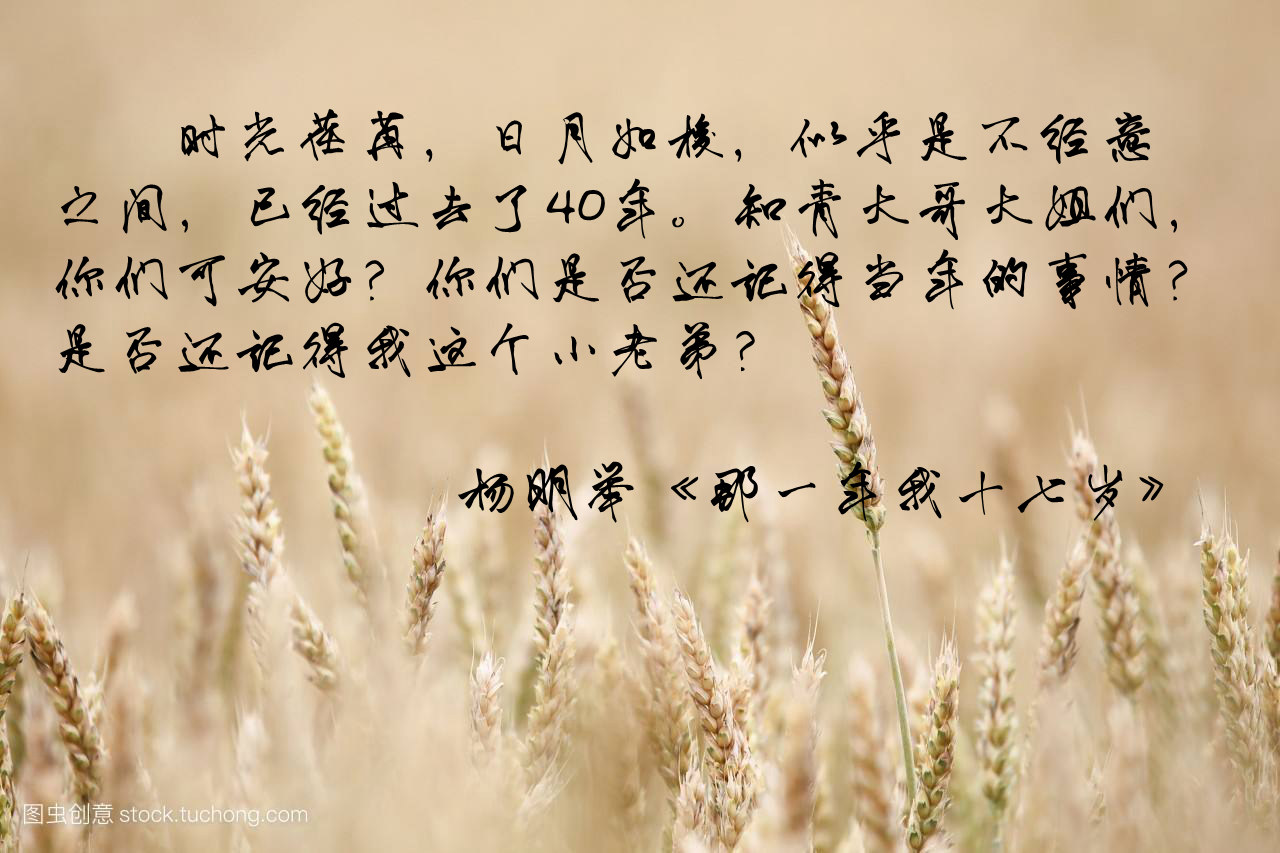 timg (8).jpg