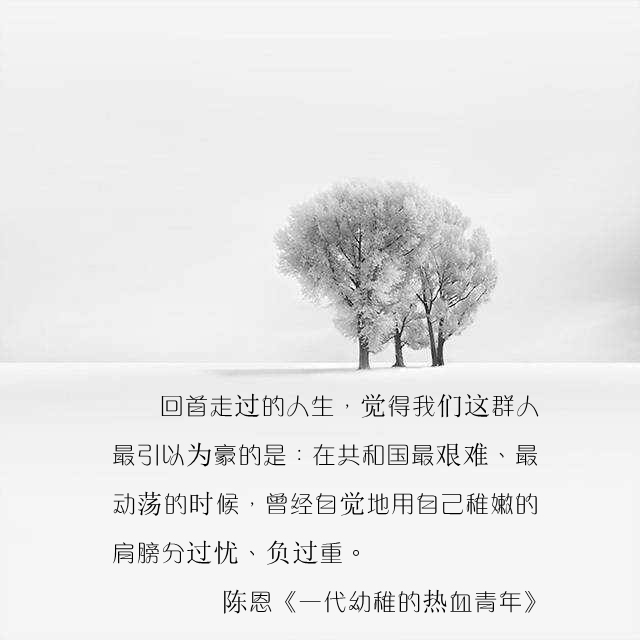 timg (19).jpg