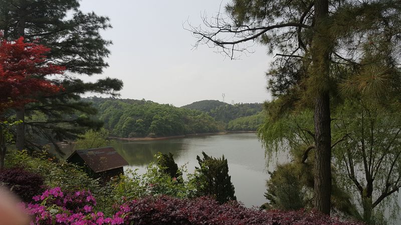 QQͼƬ20180416142622.jpg