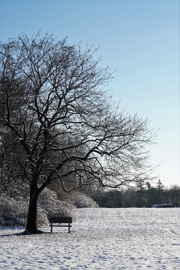 DSC01383_.jpg