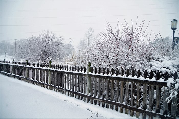 DSC06161_.jpg