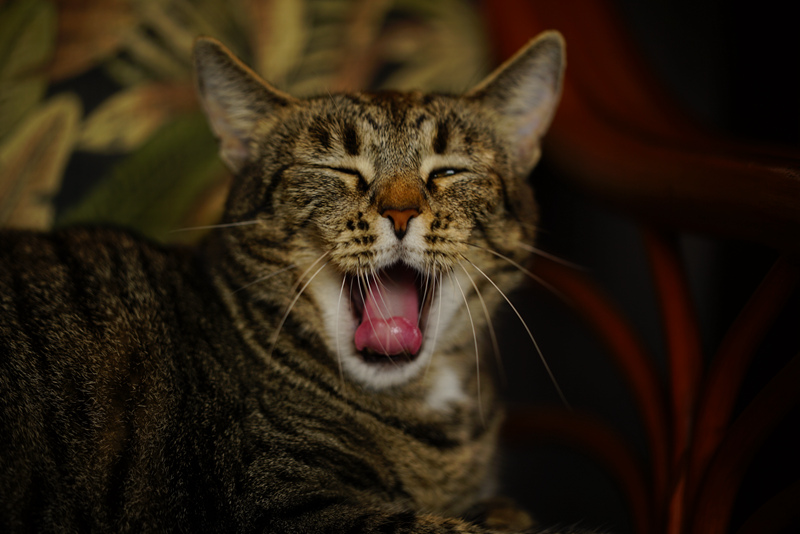 DSC05379_.jpg
