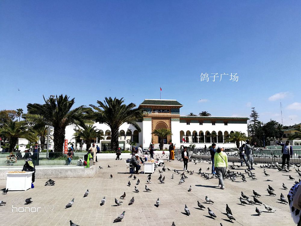 IMG_20180504_183547.jpg