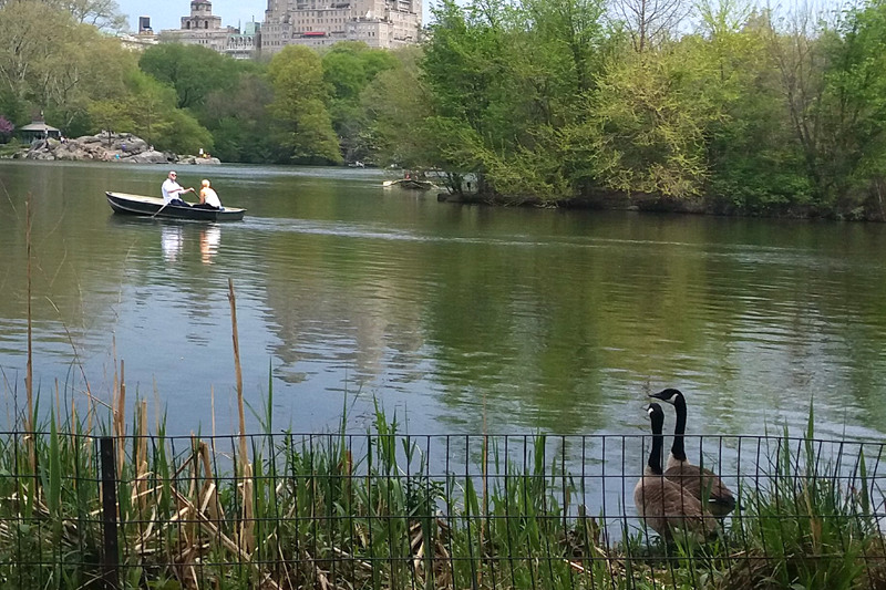 20180505_144358.jpg