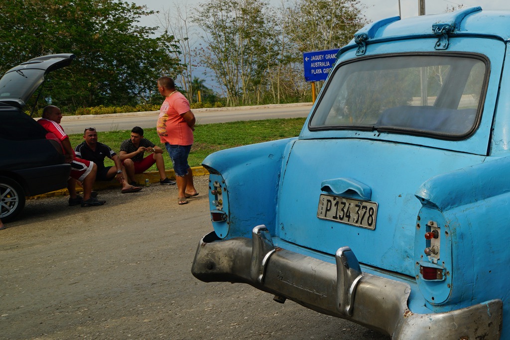 DSC08189_.jpg