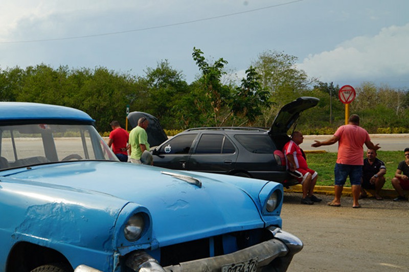 DSC08190_.jpg
