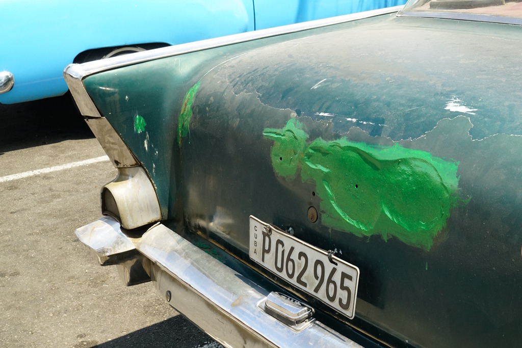 DSC08555_.jpg