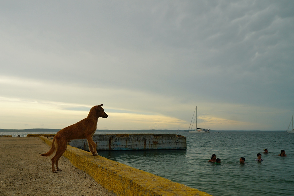 DSC07024_.jpg
