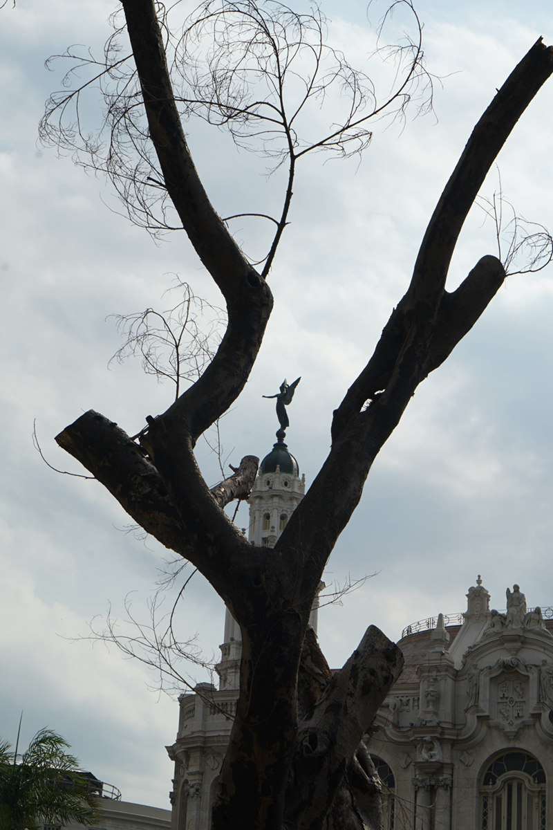 DSC04849_.jpg