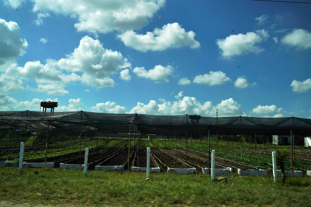 DSC07742_.jpg